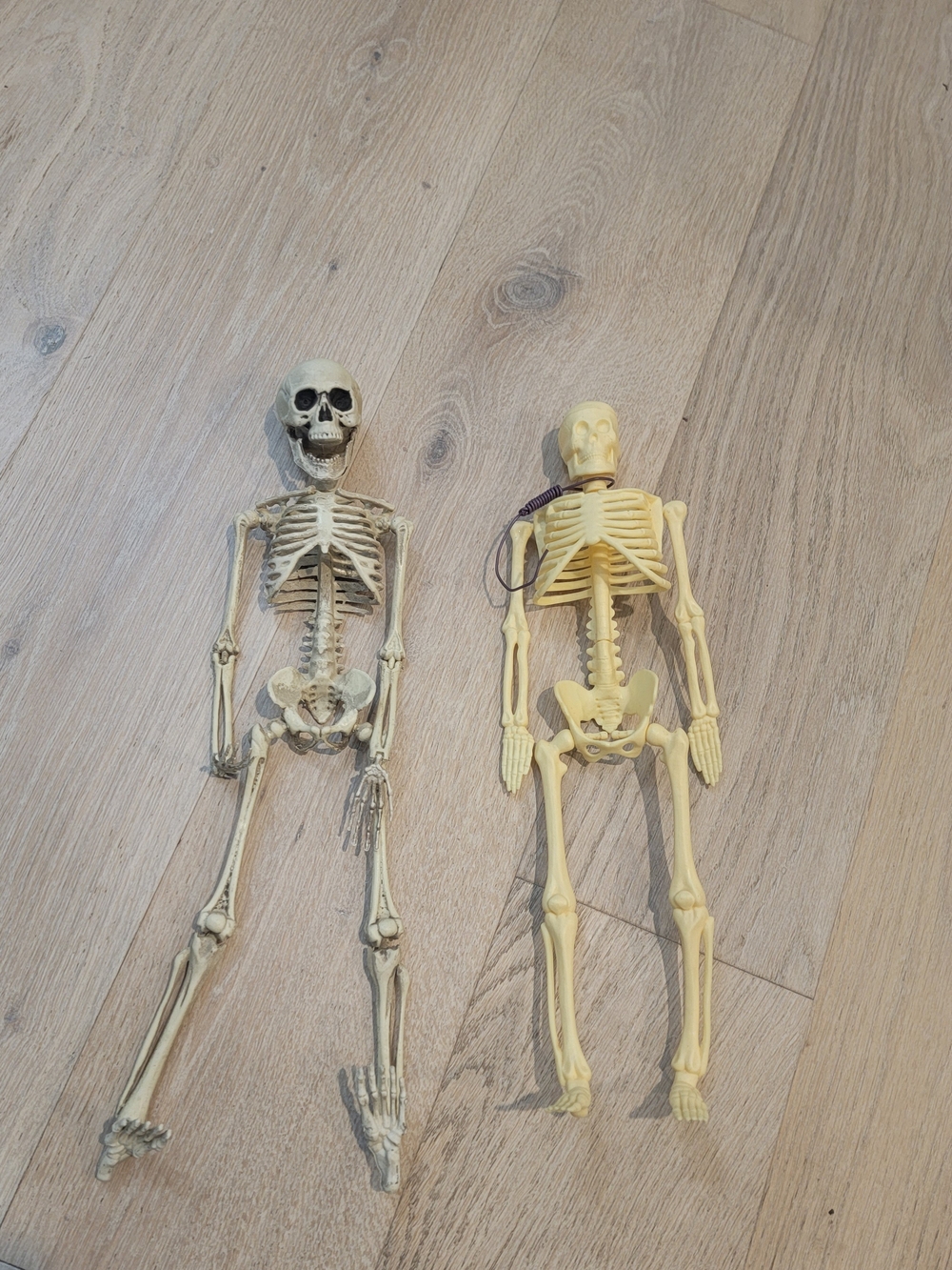 Decorative Cream Skeleton Figurine - Set of 2